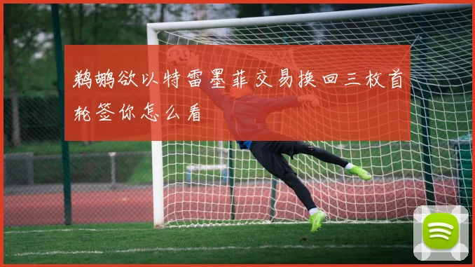 鹈鹕欲以特雷墨菲交易换回三枚首轮签你怎么看